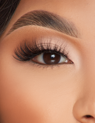 P.LOUISE LASHES - AFIȚIE CONTURĂ