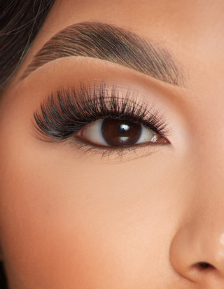 P.LOUISE LASHES - DIVA DOWN DOWN