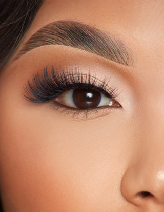 P.LOUISE LASHES - Slay Everyday