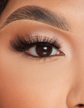 P.LOUISE LASHES - FLAIR PENER