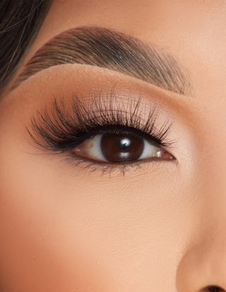P.LOUISE LASHES - FOXY FLICKS