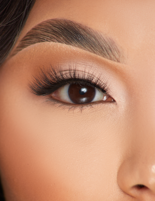 P.LOUISE LASHES - TASTUL TEASE