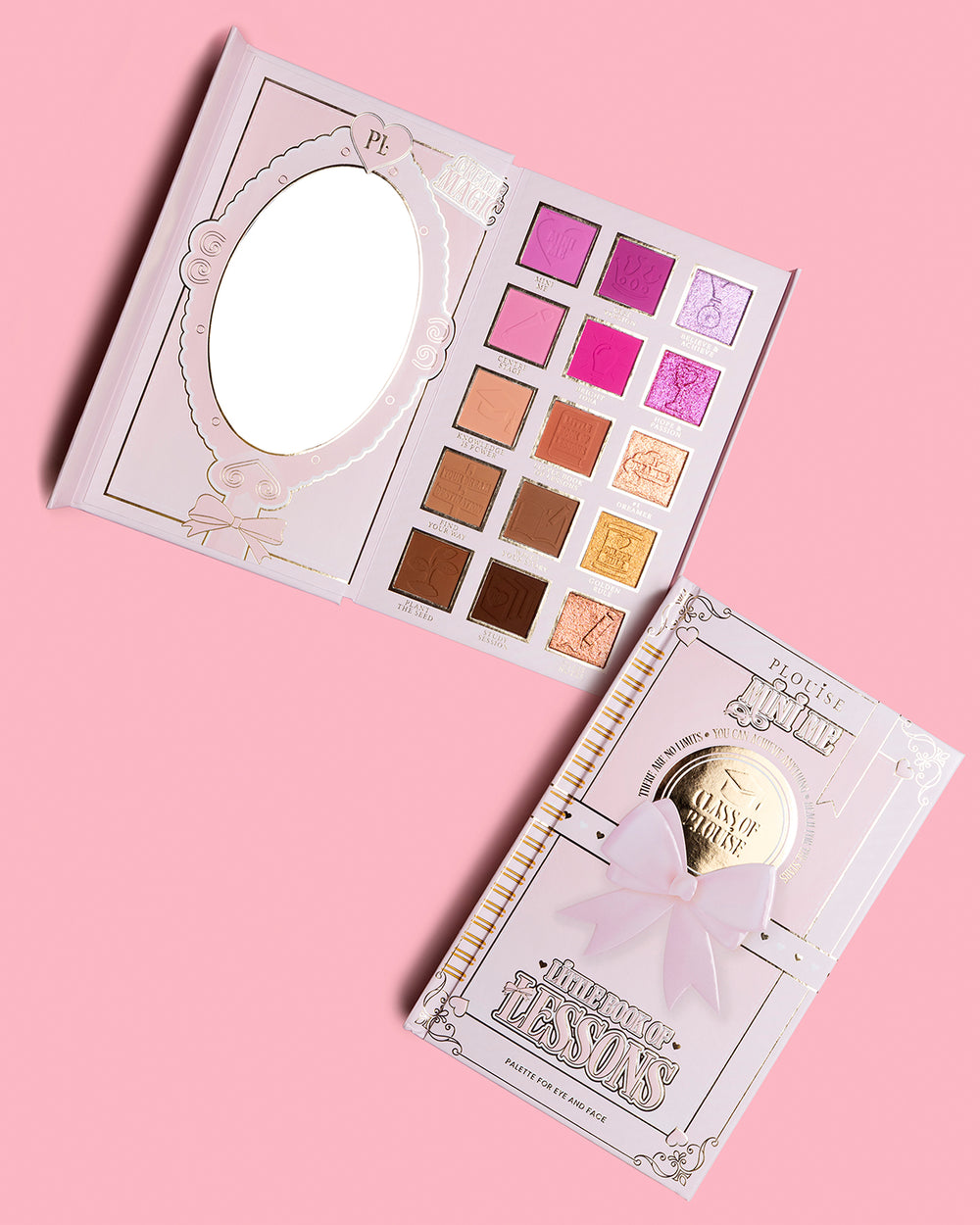 Paleta Mica Carte a Lecțiilor
