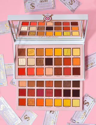 P.LOUISE tot ce văd este $ IGNS 42 PAN PALETTE PADOW